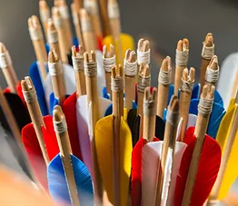 Tir-à-l'arc-et-à-l'arbalète